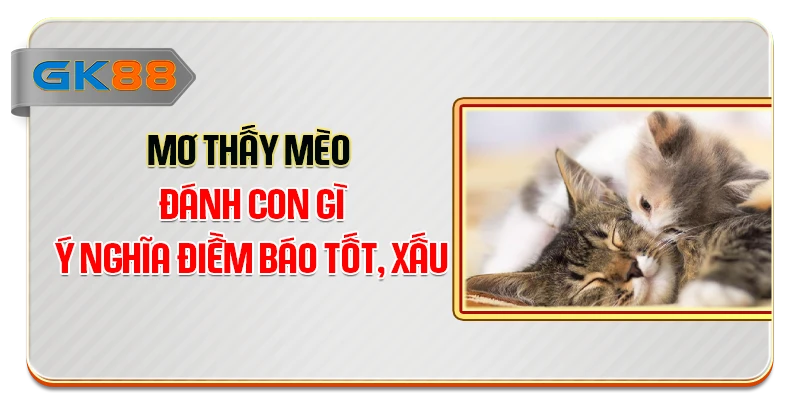 Mơ Thấy Mèo Đánh Con Gì - Ý Nghĩa Điềm Báo Tốt, Xấu
