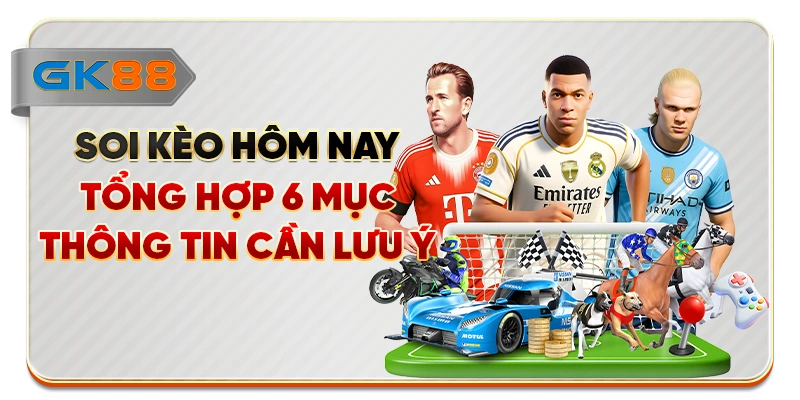 Soi Kèo Hôm Nay - Tổng Hợp 6 Mục Thông Tin Cần Lưu Ý